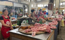 Huế kêu gọi người dân sử dụng thịt heo đúng cách, không nên quá lo