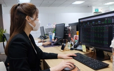 Tiền đổ cuồn cuộn, chứng khoán thắng lớn: Lợi nhuận vượt mặt vàng và loạt kênh đầu tư