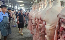 Giá heo liên tục giảm do ảnh hưởng dịch bệnh?