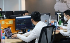 Novaland, Everland, DRH Holdings cùng loạt doanh nghiệp lớn bị phạt