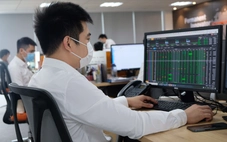 Chứng khoán bị đạp rớt mốc kỷ lục, giới đầu tư vẫn tin vào sóng hồi phục
