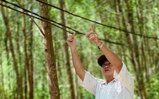 Xóm điện thiếu, sóng yếu ở Quảng Ngãi: Nấu nồi cơm không chín, bật tivi không lên