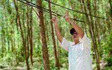 Xóm điện thiếu, sóng yếu ở Quảng Ngãi: Nấu nồi cơm không chín, bật tivi không lên