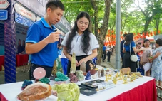 Mang đá quý đến Ngày hội lựa chọn nguyện vọng xét tuyển