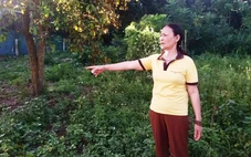 Nghệ An lý giải chuyện mất 4,5 tỉ đồng để chuyển 300m2 đất vườn sang đất ở