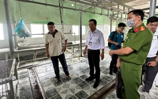 Vụ C.P. Việt Nam bị tố bán heo bệnh: Không khởi tố vụ án vì không có dấu hiệu tội phạm