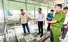 Vụ C.P. Việt Nam bị tố bán heo bệnh: Không khởi tố vụ án vì không có dấu hiệu tội phạm