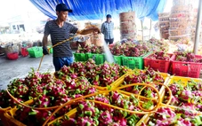 Xuất khẩu đi châu Âu gặp khó vì thiếu chứng nhận an toàn thực phẩm