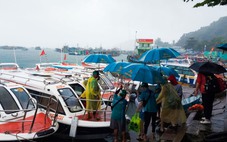 Ảnh hưởng bão số 3, tour ca nô ở Phú Quốc không được đưa khách đến nơi có sóng lớn, nguy hiểm