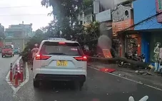 TP.HCM mưa dông giữa trưa, cây xanh ngã đổ nhiều nơi
