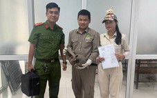 Đầu bếp nhà hàng ở Đà Nẵng mua tê tê quý hiếm, bị tạm giữ cùng 2 người bán