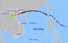Tâm bão Wipha đang ngay trên vùng biển ven bờ Hưng Yên - Ninh Bình