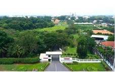 ‘Ba thập kỷ, gia vị Vedan thành người bạn trong căn bếp Việt’