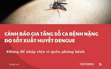 TP.HCM cảnh báo tăng ca mắc sốt xuất huyết bệnh nặng, đã có 10 ca tử vong