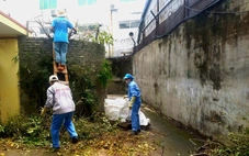 Rò rỉ hóa chất tại nhà máy bột giặt VICO làm dân bị ngất, cây sém lá: Công an vào cuộc xác minh