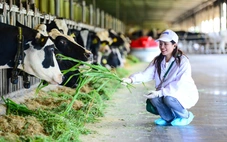 Trang trại phát triển bền vững có gì đặc biệt?