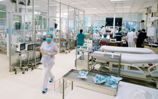Ca sốt xuất huyết nặng tăng nhanh, nhiều bệnh nhân còn trẻ