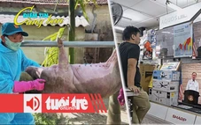 Điểm tin 18h: Dịch tả heo châu Phi lan mạnh; Đông Nam Á phát tiền để kích thích tiêu dùng