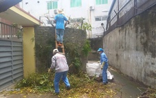 Rò rỉ hóa chất tại nhà máy bột giặt VICO làm dân bị ngất, cây sém lá: Công an vào cuộc xác minh