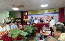 Bàn cả chuyện có dùng dấu chấm, dấu phẩy, viết hoa đầu dòng trong Truyện Kiều