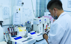 Trung tâm Y tế Phú Quốc xuống cấp, địa phương tính cách nào phục vụ người bệnh, đón APEC?