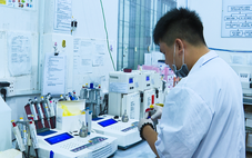 Trung tâm Y tế Phú Quốc xuống cấp, địa phương tính cách nào phục vụ người bệnh, đón APEC?