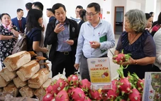 332 mẫu nông sản Lâm Đồng về chợ Bình Điền, chỉ 1 mẫu tồn dư thuốc bảo vệ thực vật