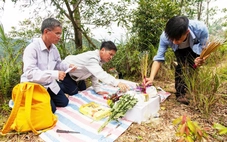 Đi tìm hình bóng anh trai