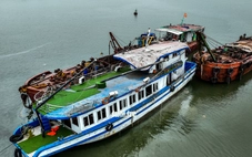 Phó Thủ tướng Nguyễn Hòa Bình yêu cầu giải pháp xử lý lỗ hổng từ vụ lật tàu Vịnh Xanh 58