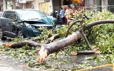 Nguyên nhân nào khiến thời tiết Nam Bộ xấu, biển Gia Lai đến TP.HCM dông gió?