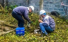 UBND TP Hải Phòng yêu cầu xử lý vụ rò rỉ hóa chất tại Nhà máy bột giặt VICO