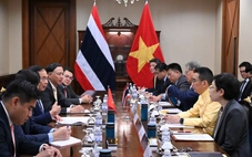 Phó Thủ tướng, Bộ trưởng Ngoại giao Bùi Thanh Sơn gặp Ngoại trưởng Thái Lan