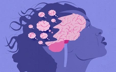 Phát hiện cơ chế giúp não tự làm sạch, mở ra hy vọng chữa Alzheimer