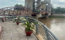 Đóng cống Tha La và Trà Sư để kiểm soát lũ vùng Đồng bằng sông Cửu Long