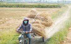 Thời tiết hôm nay 1-8: Bắc Bộ mưa chiều, Trung Bộ nắng nóng