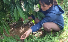 Phân bón cả tháng không tan, người dân báo chính quyền kiểm tra chất lượng