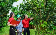 Agribank - Doanh nghiệp ESG Việt Nam xanh 2025
