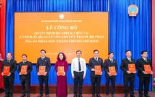 TAND TP.HCM có Chánh văn phòng, Chánh tòa chuyên trách mới