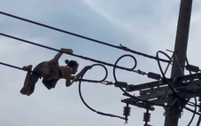 Người phụ nữ có biểu hiện bất thường 'diễn xiếc' trên dây điện ở phường Tây Nam, TP.HCM