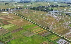 Hàng ngàn tỉ đồng thuế đất mỗi năm tiếp tục được miễn, bà con nông dân yên tâm sản xuất