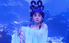 Thoại Mỹ bay từ Mỹ về diễn cùng Huỳnh Long