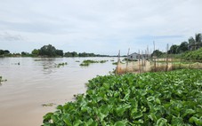 Lượng nước từ sông Mekong đổ về sông Cửu Long tăng 10-30%