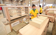 Cơ hội để Việt Nam tái cấu trúc kinh tế
