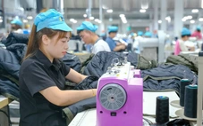 Doanh nghiệp mới tăng kỷ lục, do đâu?