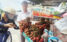 Giá nhiều loại trái cây ở mức thấp