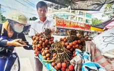 Giá nhiều loại trái cây ở mức thấp