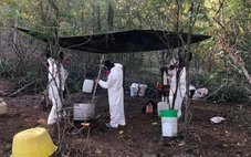 'Sát thủ thầm lặng' fentanyl - Kỳ 3: Điều chế bí mật fentanyl tử thần ở Mexico