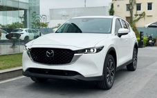 Tin tức giá xe: Loạt xe giảm sốc tạo đáy mới, từ sedan hạng C 295 triệu đến SUV cỡ D 855 triệu đồng