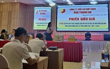Đấu giá mỏ đá vôi, khởi điểm 28,5 tỉ, giá trúng gần 500 tỉ có bình thường?