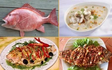 Ngộ độc cá biển, cả gia đình nhập viện sau bữa ăn hải sản